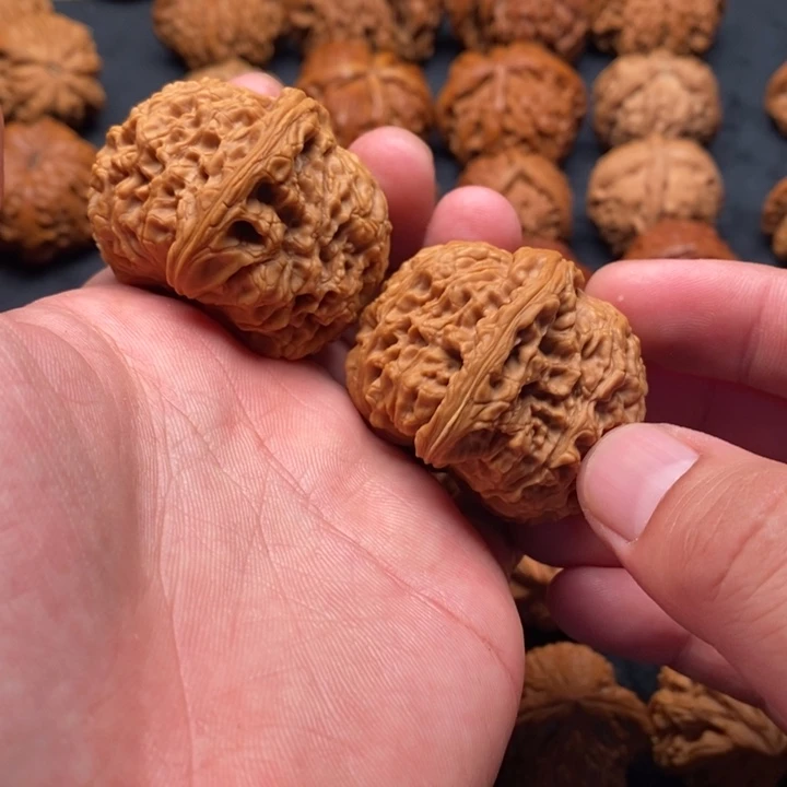 白***周南疆石狮子头