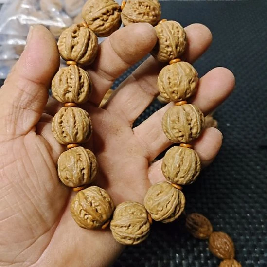 木质类纯野生山核桃       5