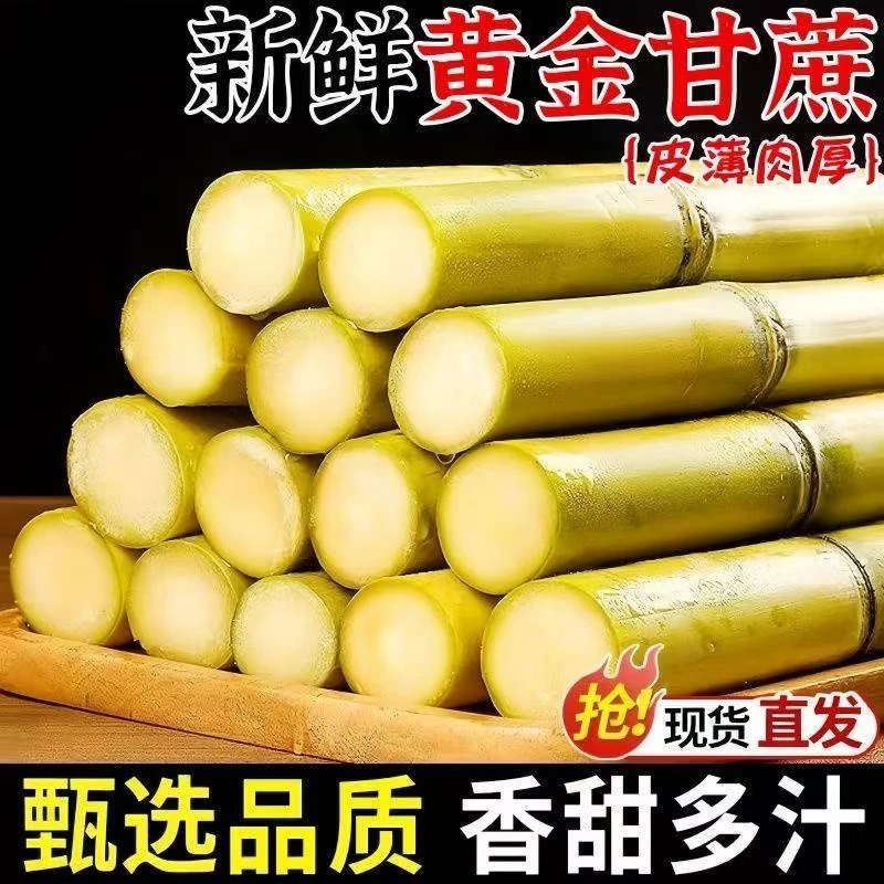 云南新鲜现摘黄皮甘蔗脆甜多汁当季水果甘蔗yc