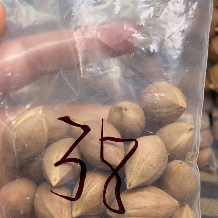 橄榄核手串/手链