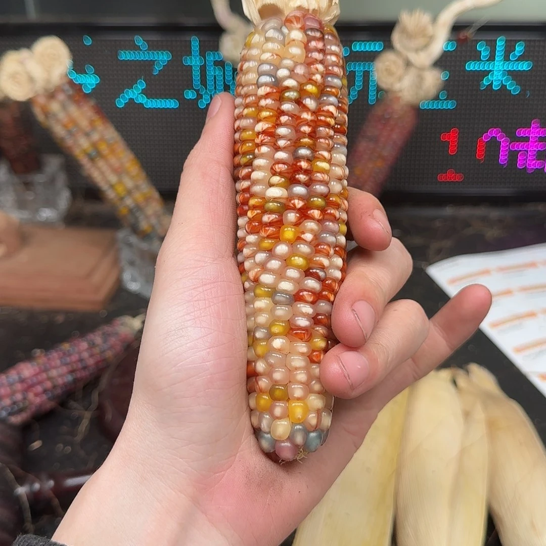 柏香籽/百香籽吊坠柚***檬