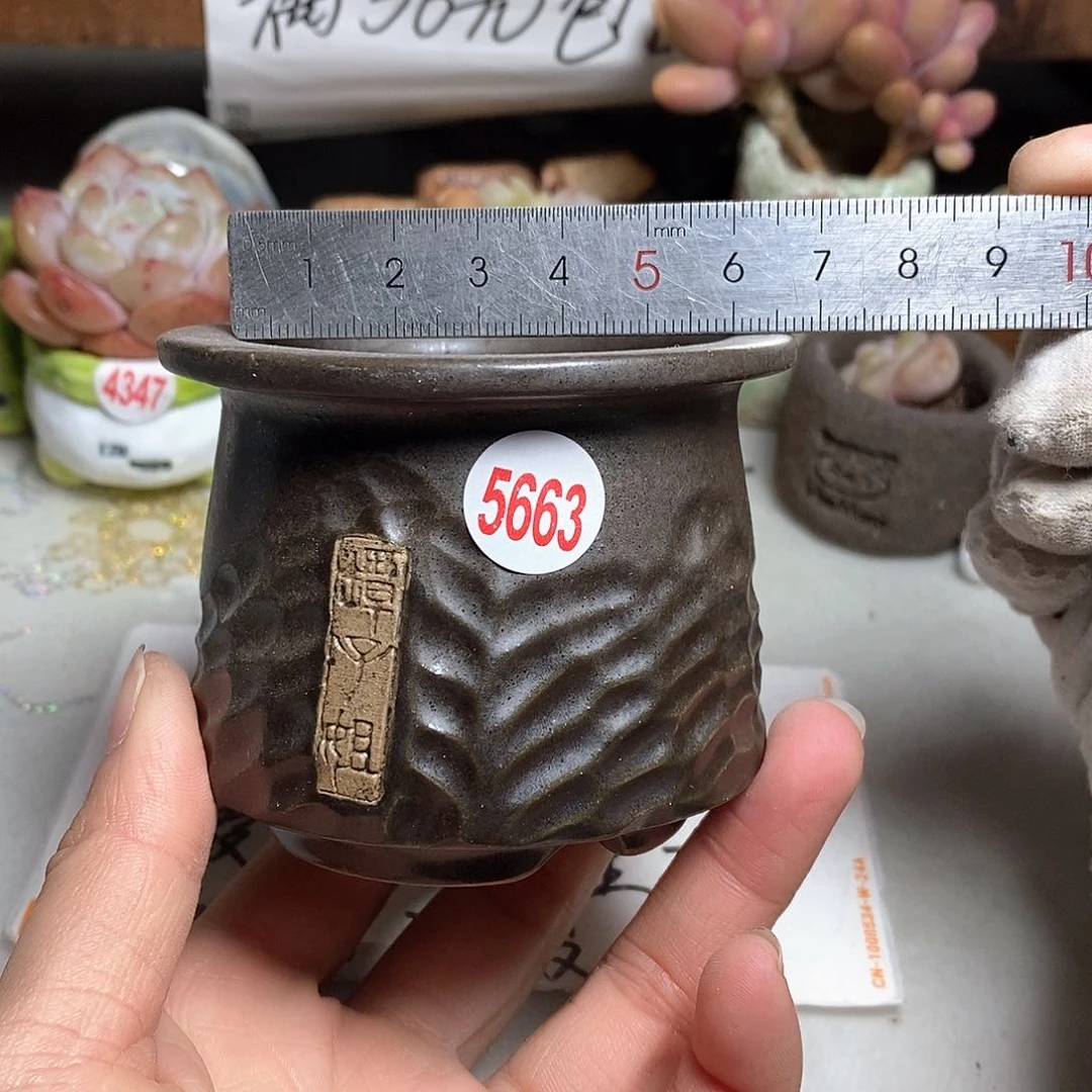 红陶处理的，处理