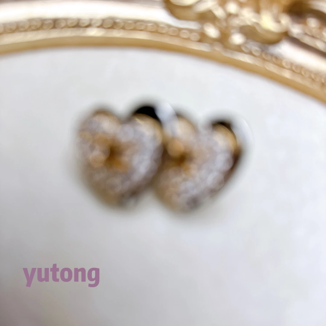 铜合金锆石耳饰 【雨桐高奢饰品】耳环CC00724