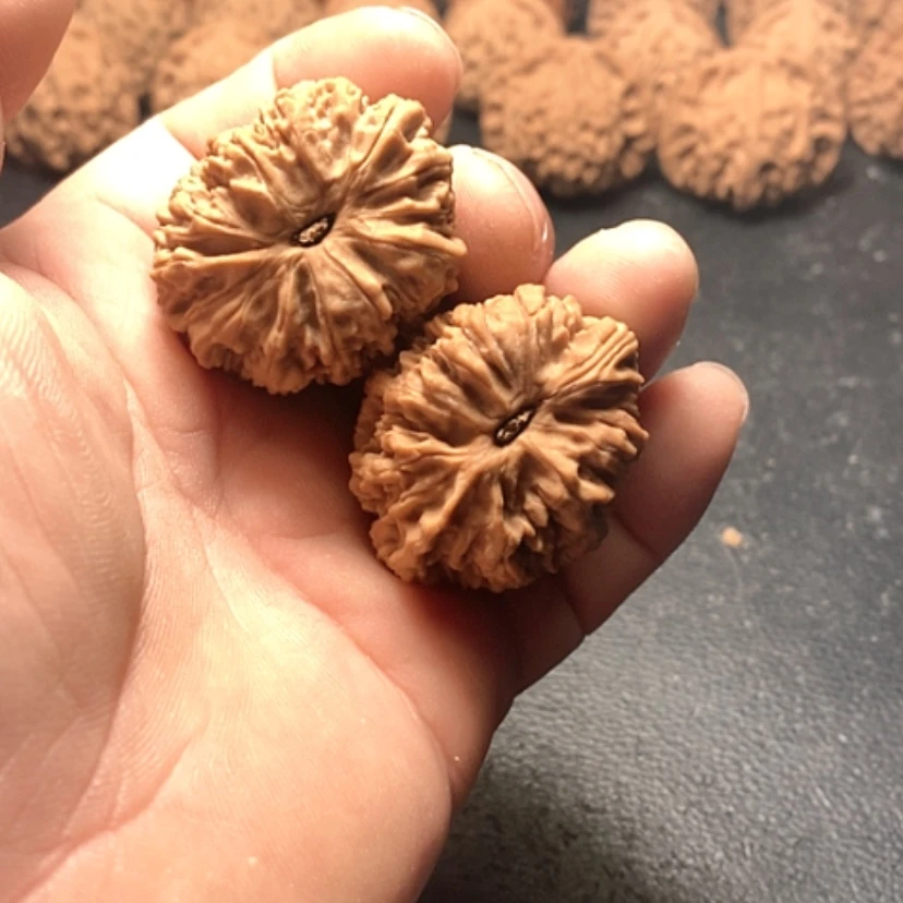 【闪购商品】喵*～一根筋