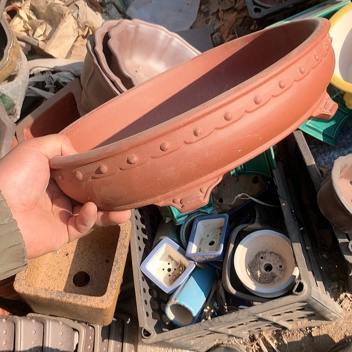 紫砂哈哈真的是太给力太