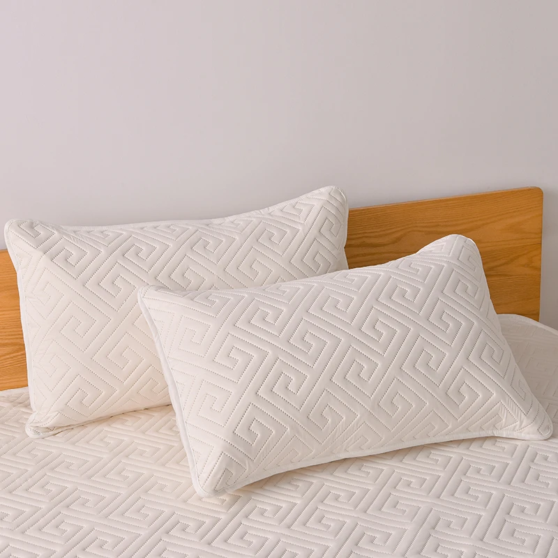 家用隔脏枕套一只装一对装水洗棉透气防水酒店防尘隔离枕头保护罩