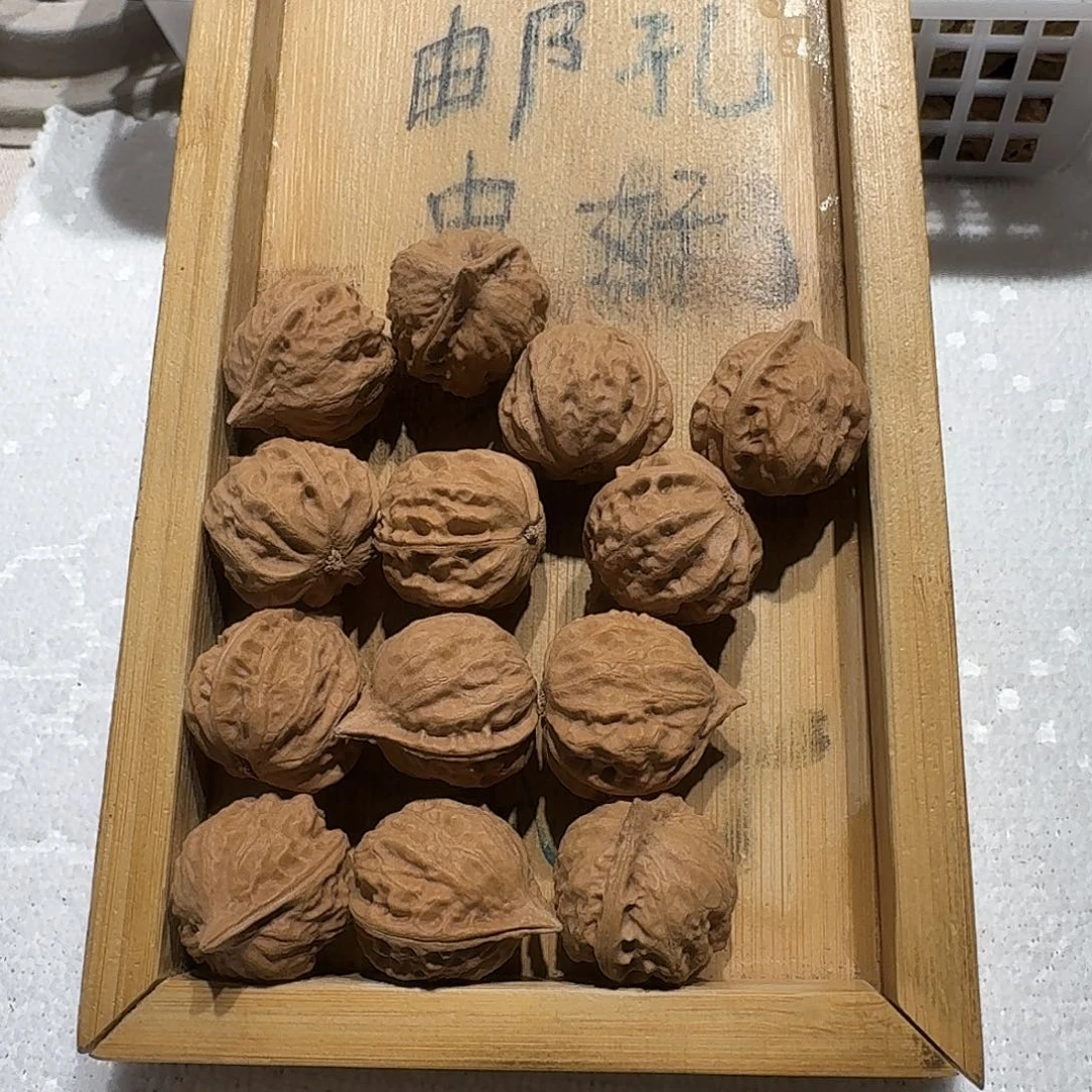 核桃手串/手链18号边25肚23高23