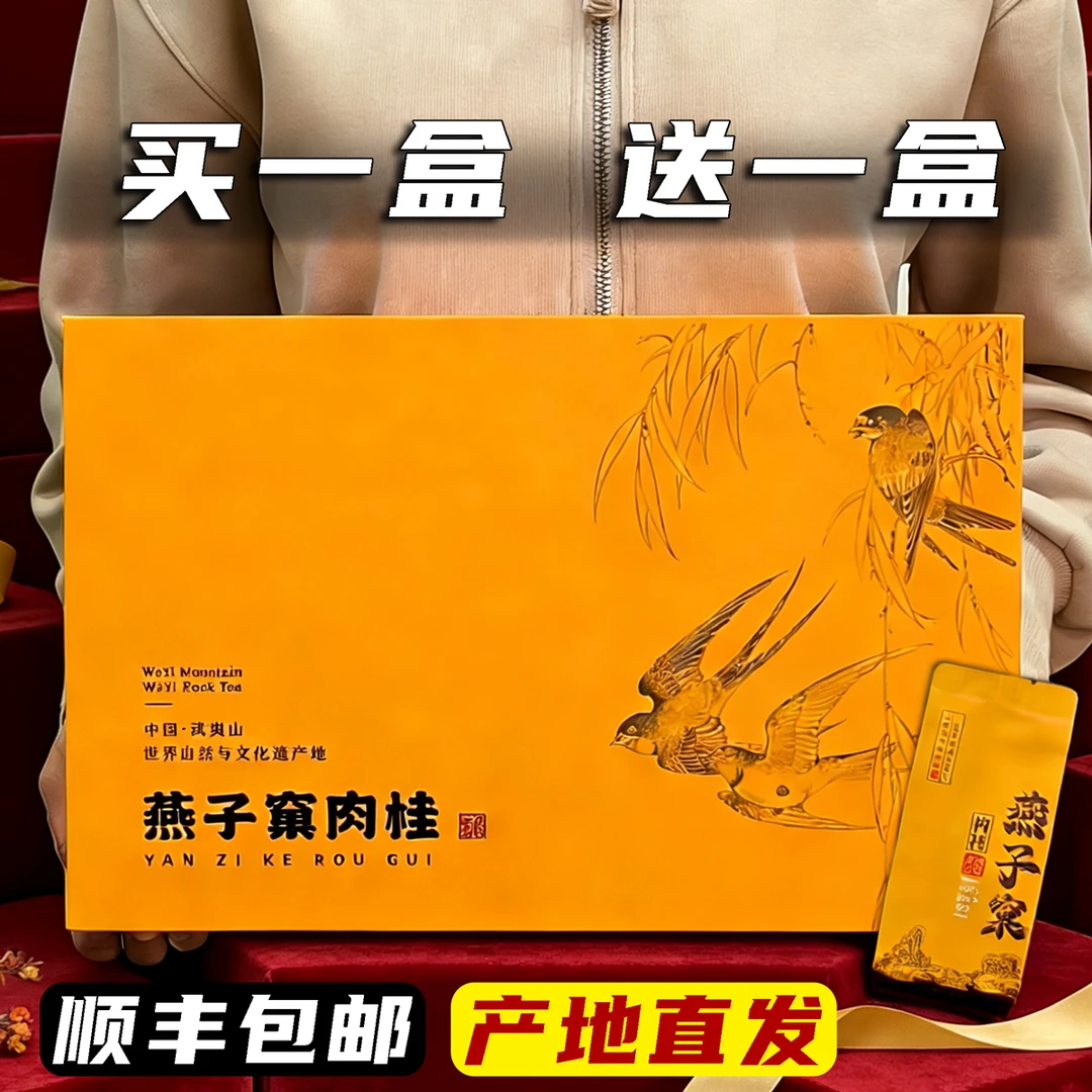 燕子窠肉桂武夷岩茶正岩特级正宗大红袍高档礼盒装送礼品茶叶长辈