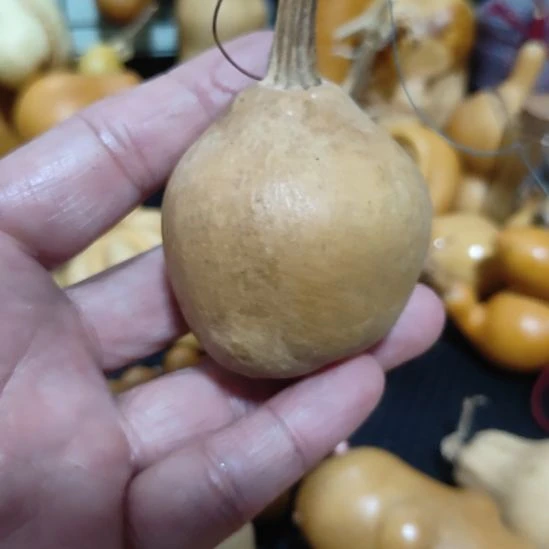 普***r回来哈哈哈哈哈哈哈哈哈哈