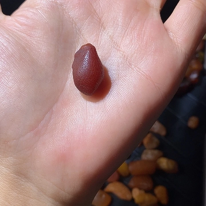 未镶嵌琥珀手链简*1手串