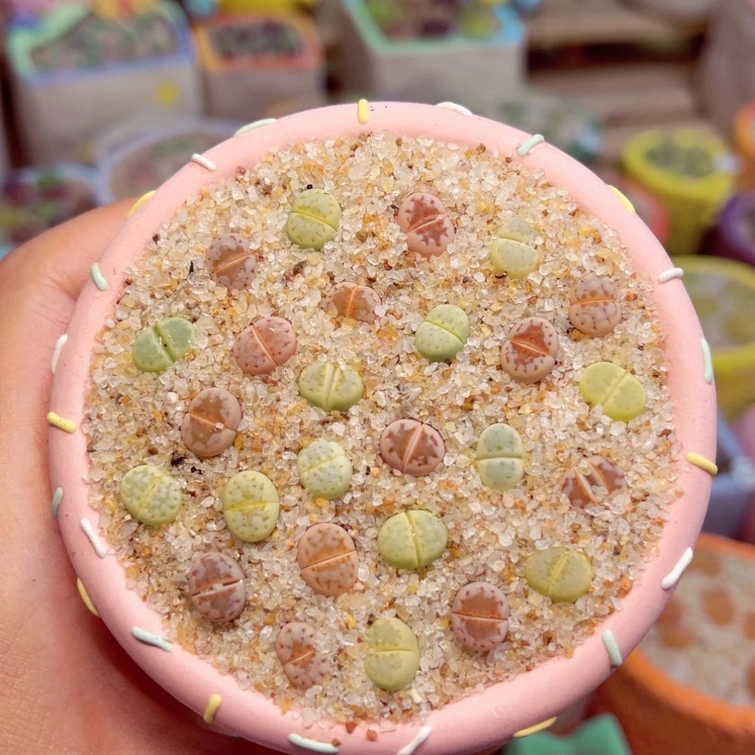 8****版501. 66786447886567885