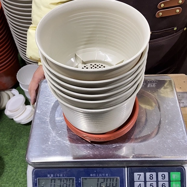 矮陶口18高12.5混色带拖6只