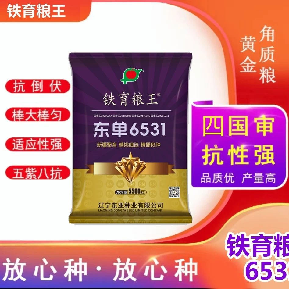 铁育粮王【东单6531】高产玉米种子