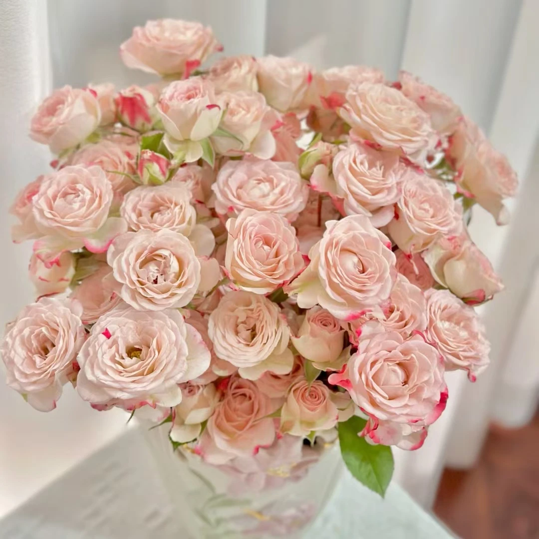 【大聪明卖花】折射多头玫瑰-任意2单鲜花包邮发货后不支持退款