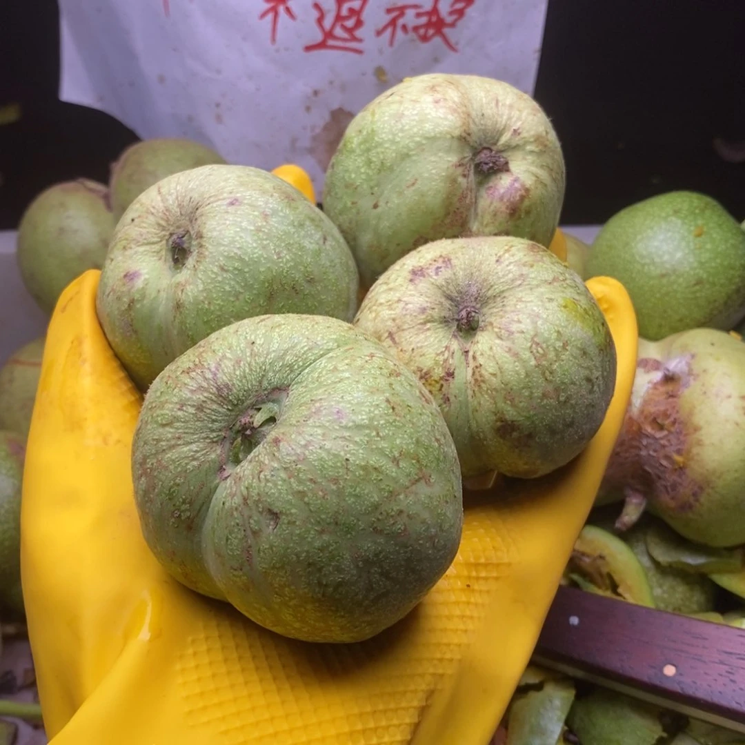 哆***场门墩异形青皮代开不退不换，看好下单