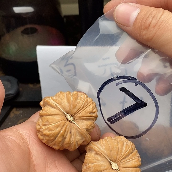 吊坠文玩核桃W9468646864968648