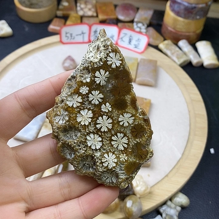今***天硅化玉未镶嵌颈饰