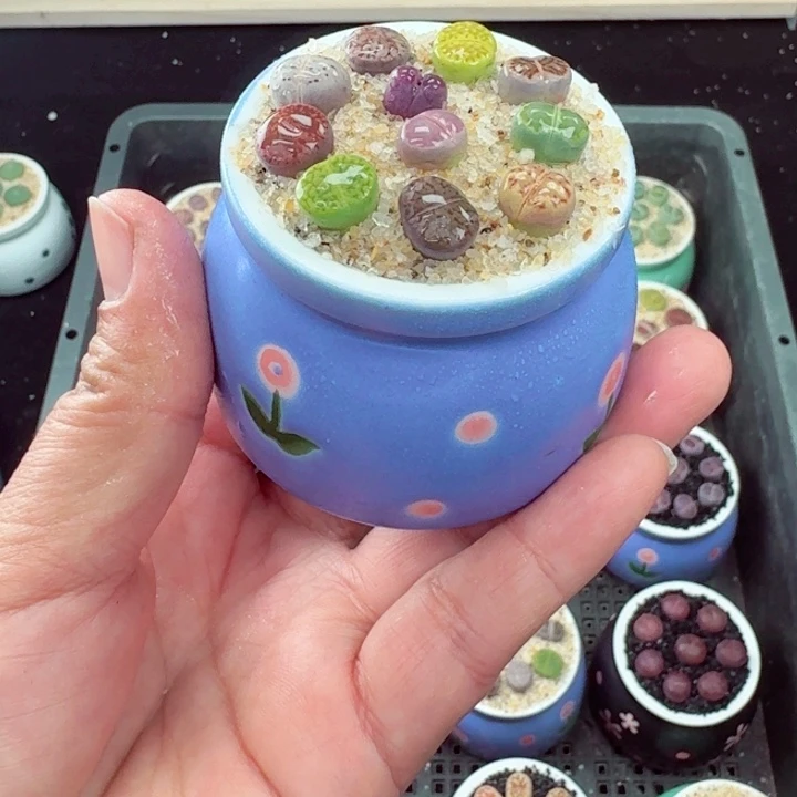 506凑满18包邮零下地区记得拍保温箱