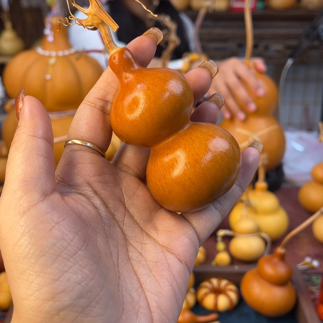 太***洽发发发发发发发发发发发发发发发