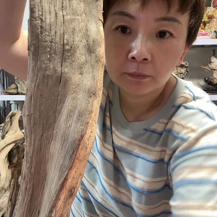 岁***好有机玻璃柏柏柏树柏树柏树