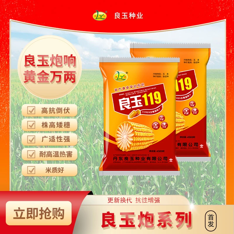 liangyu/良玉良玉炮119玉米种子中大棒密植品种高抗病害高抗倒伏