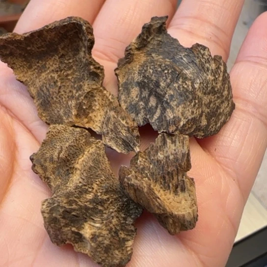 摆件沉香海南沉水老包头5克