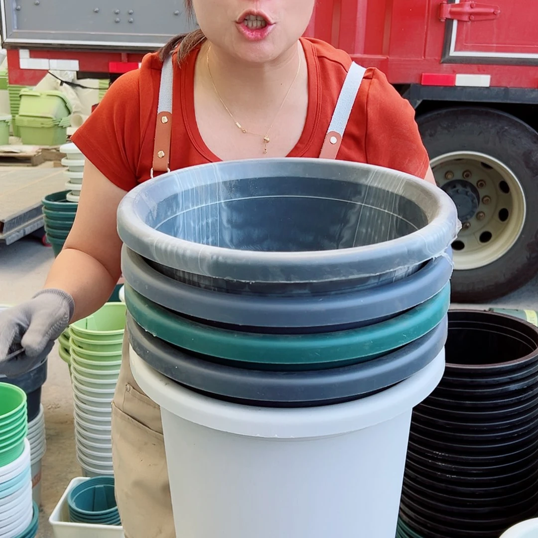 瑕疵四季盆7#混色6个无托