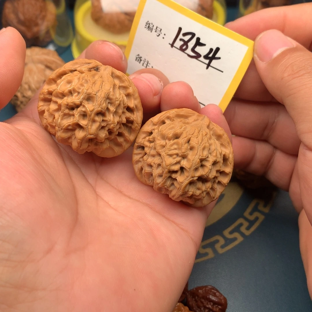 文玩核桃把件40全品核王1854