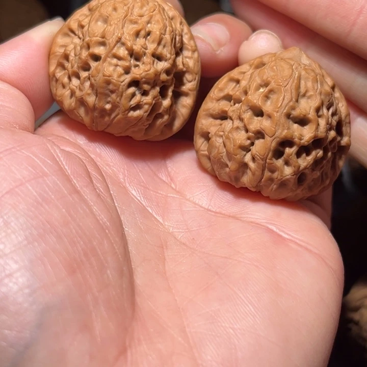 木质类团圆37全品