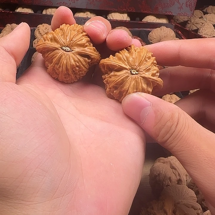A***帅龙脊菩提吊坠啊啊啊啊啊啊啊啊3