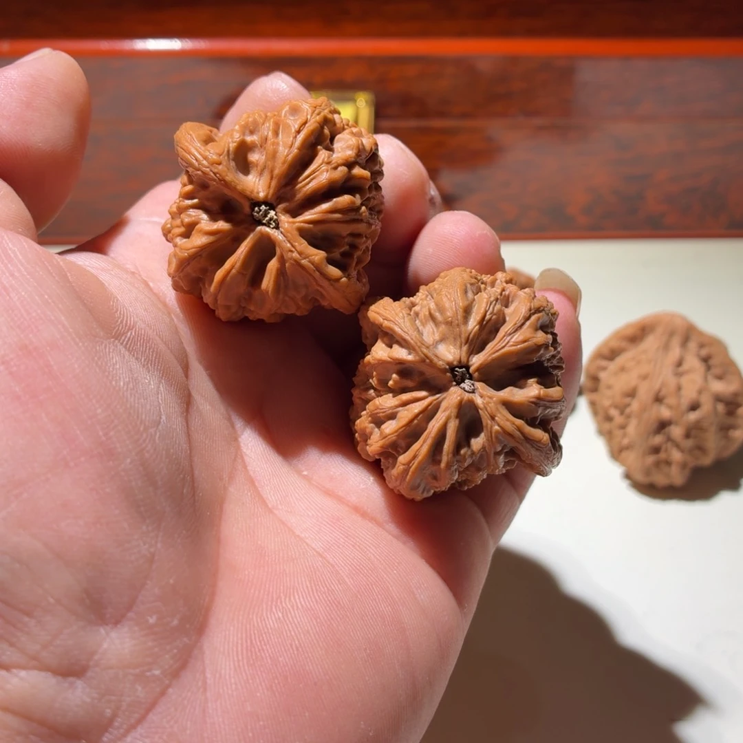 文玩核桃把件执**行昆仑