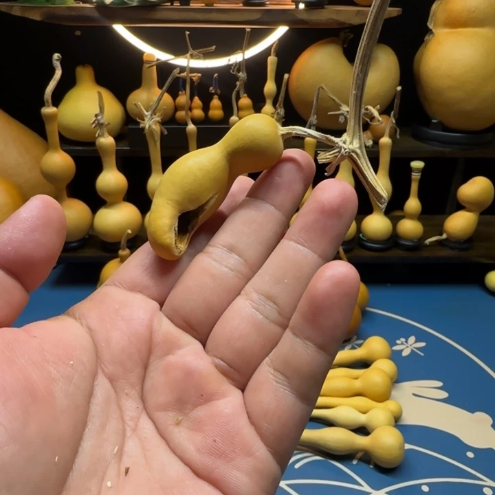 常***二常想hogzsyxswswswws