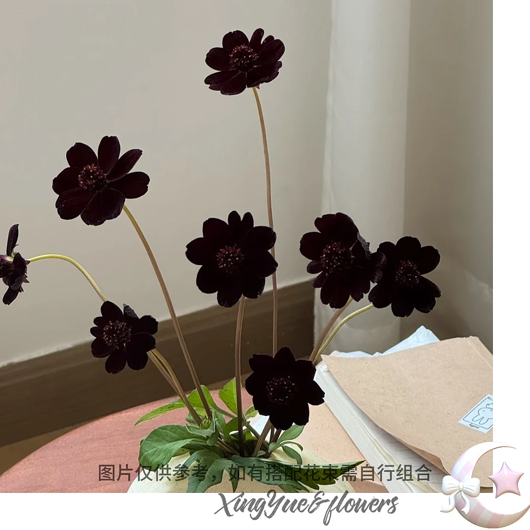 【星玥鲜花】很特别的巧克力秋英