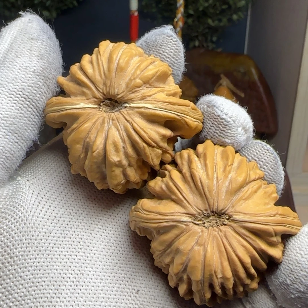 文玩核桃把件华坤龙