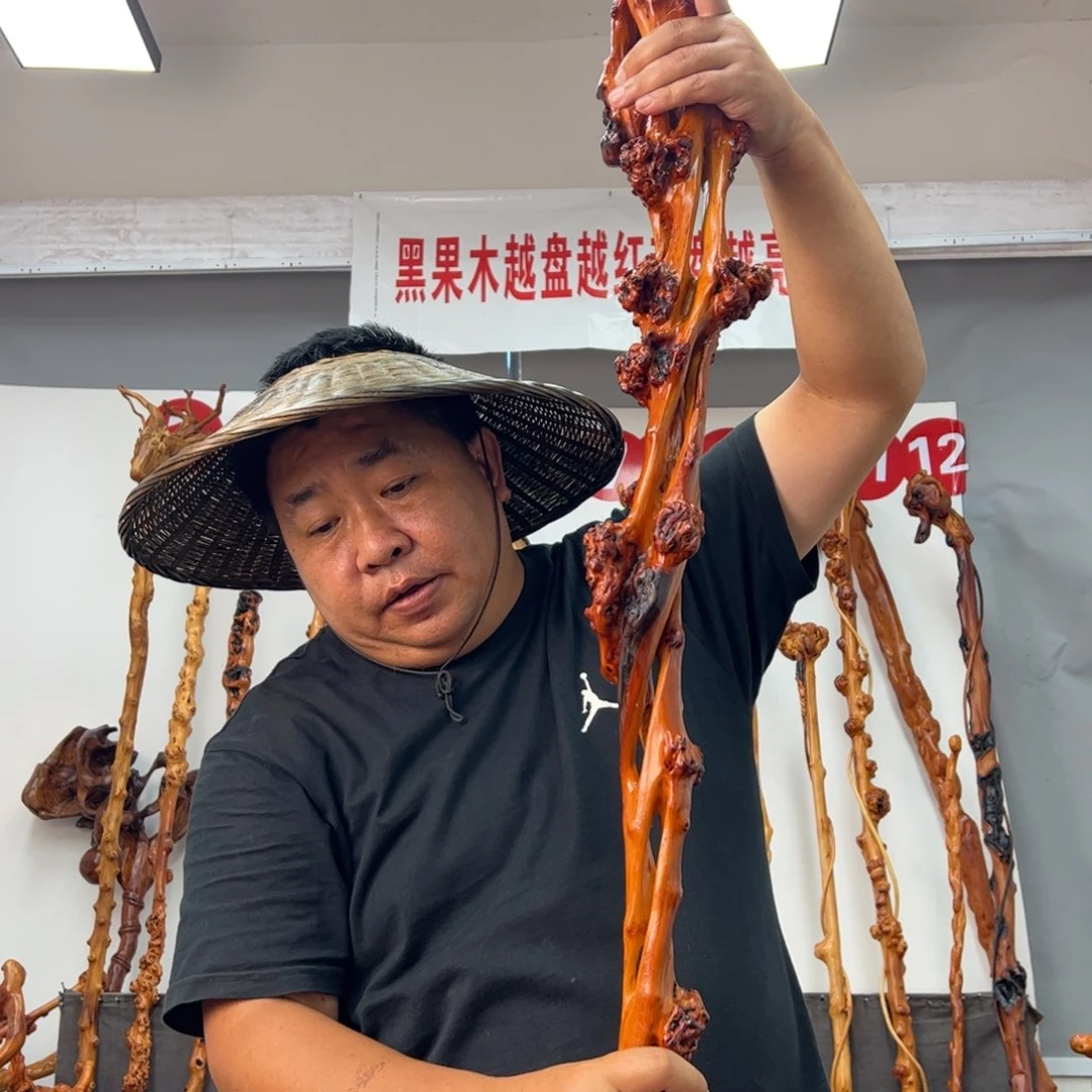 沉***人黑果木其他黑果木806