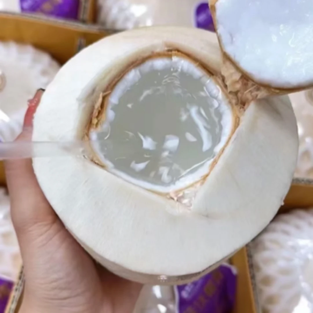 清甜天然佳沃椰青一个（默认开小口）