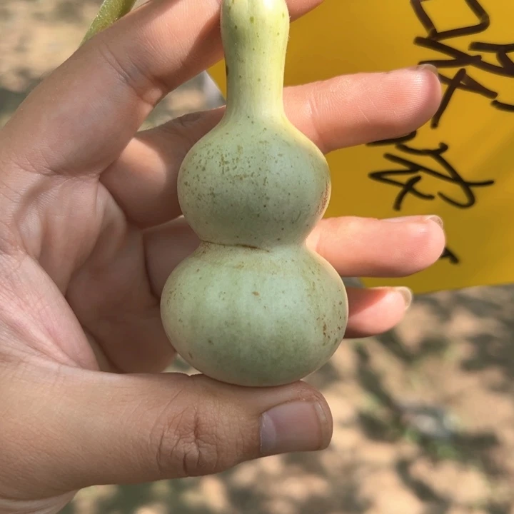 哝***哥葫芦葫芦葫芦葫芦