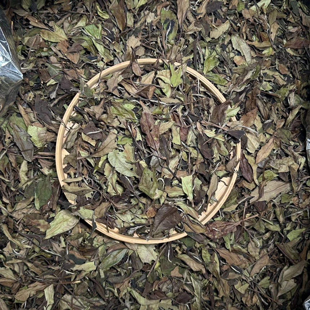 【朴雾白茶】2020年荒野奶霸 荒野老枞 奶香枞香 冰糖甜