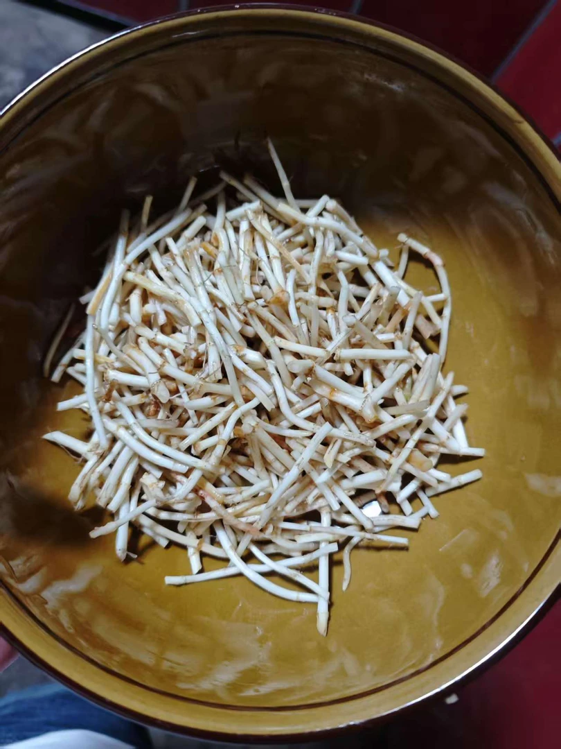 新鲜折耳根凉拌即食 贵州特产农家节侧儿根种植现挖5斤包邮鱼腥草