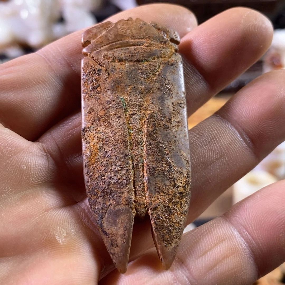 和田玉(糖玉)颈饰未镶嵌