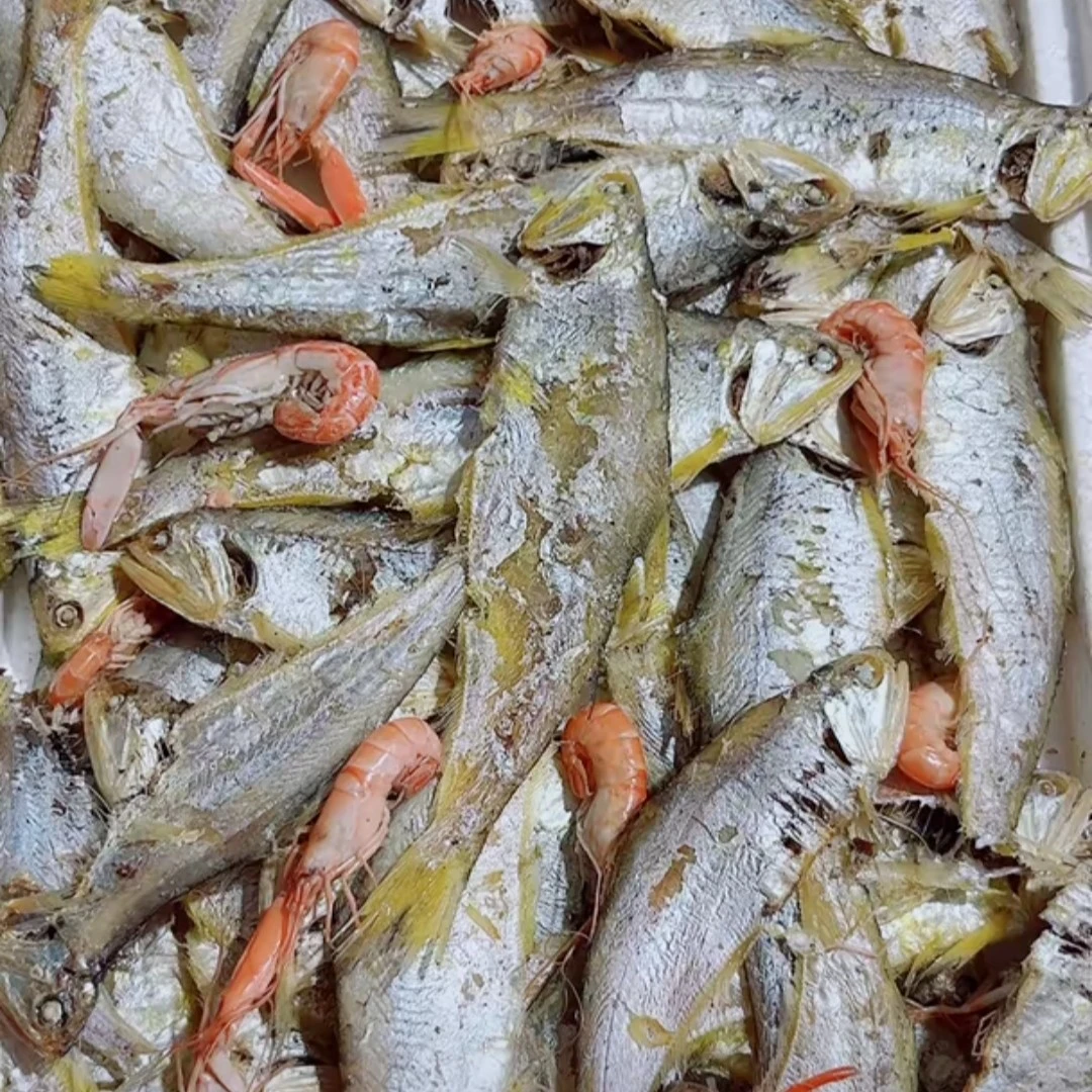 即食熟马口鱼虾混合3斤半干(新疆西藏不发货)