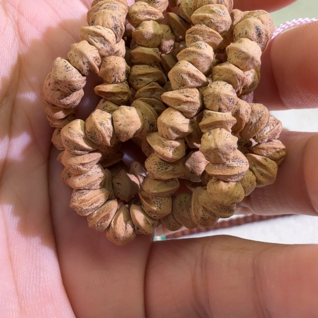 手串柏香籽/百香籽热振藏式大肠红皮