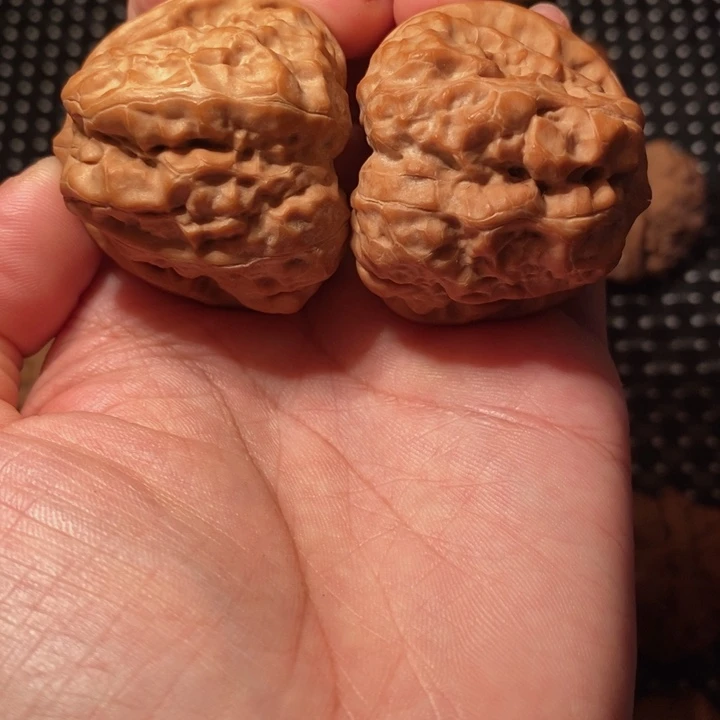 唯***在把件文玩核桃全品蛙王