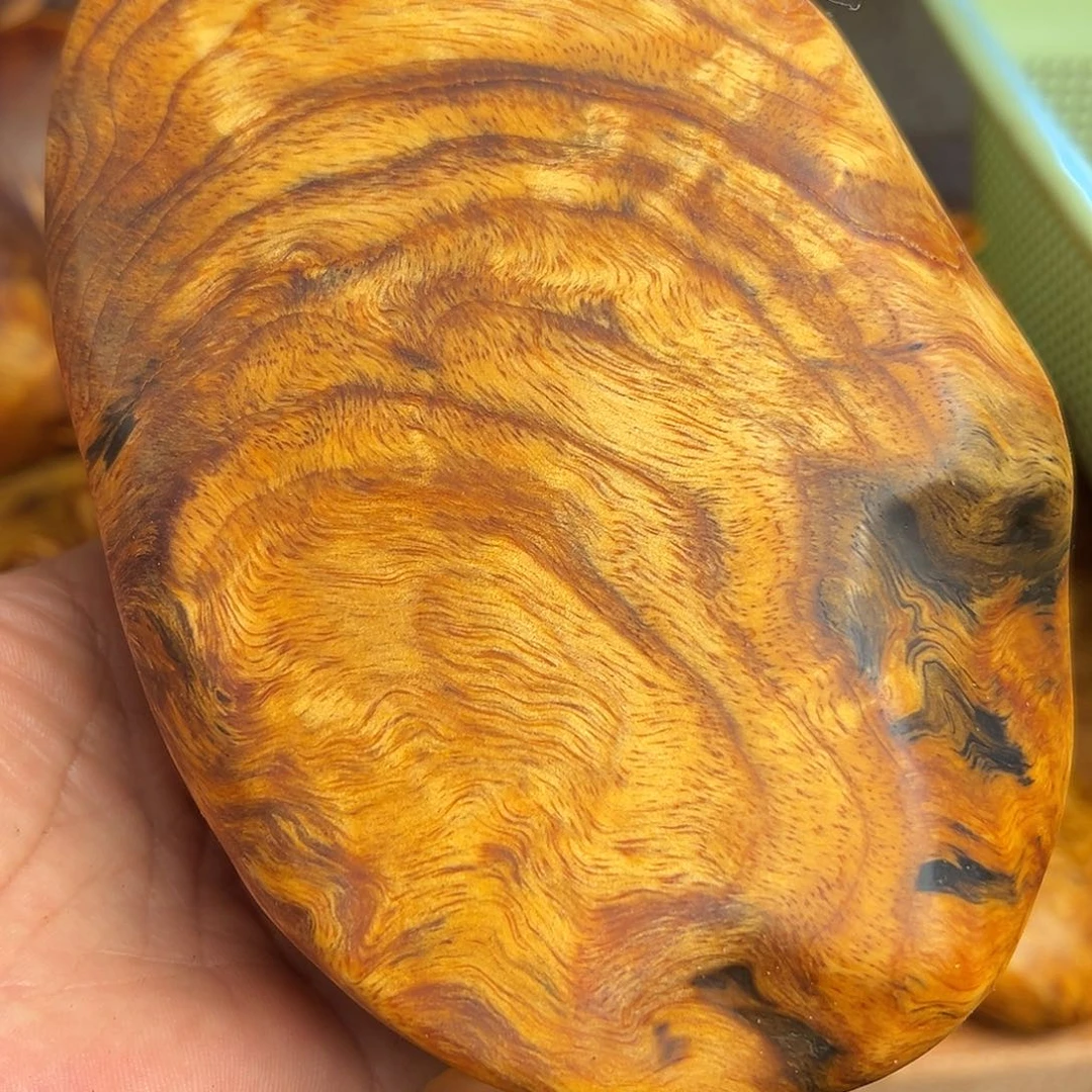 松木有裂长白山琥珀木手把件