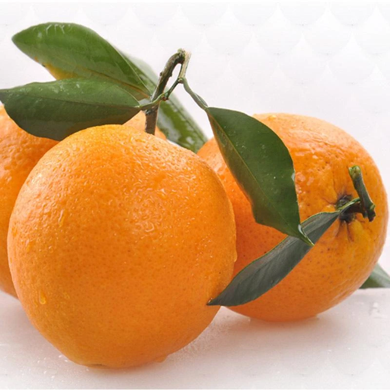 现摘正宗江西赣南脐橙农家现摘新鲜甜橙子产地直发好吃大果特产