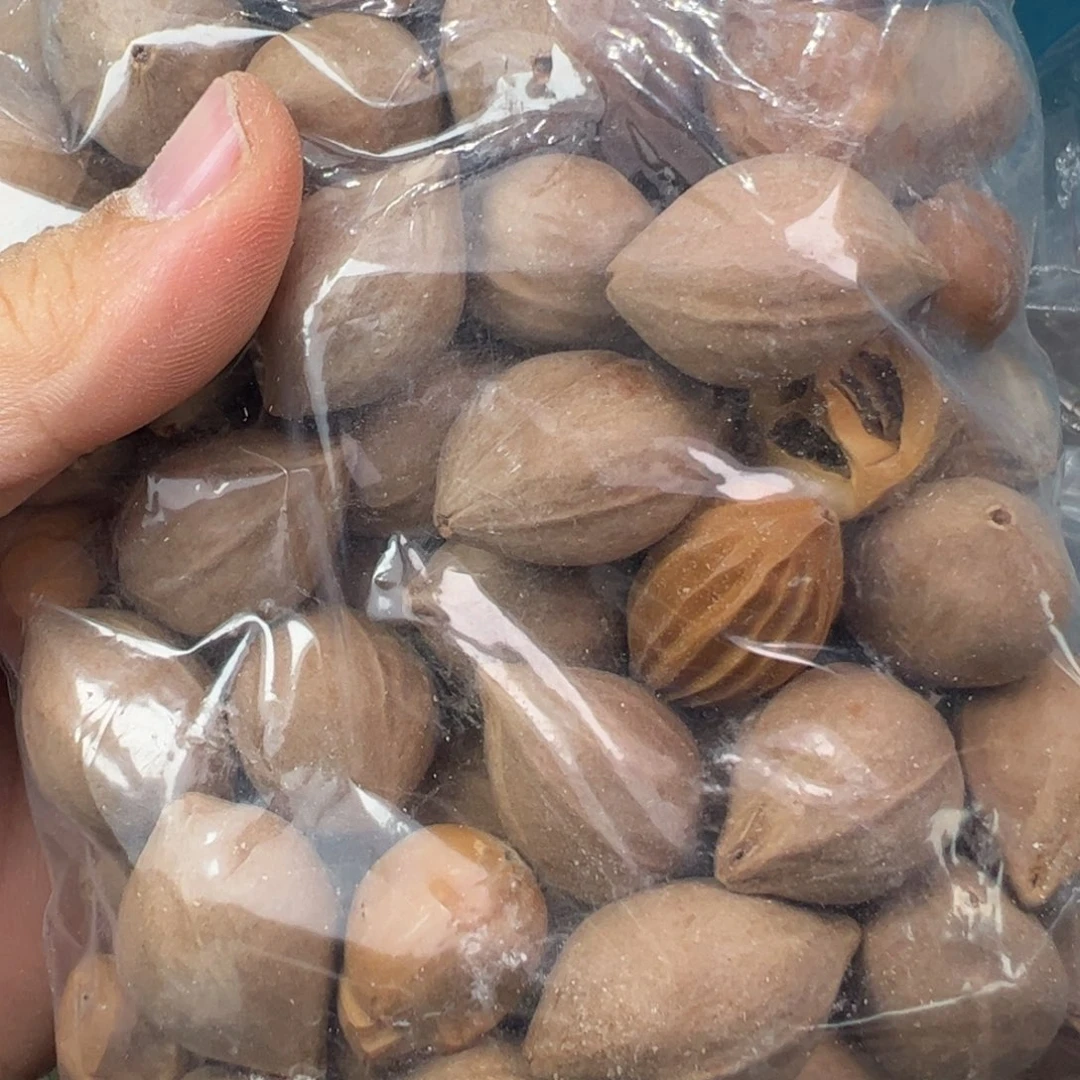 橄榄核手串/手链2.0-2.1+的精品橄榄核原料一斤