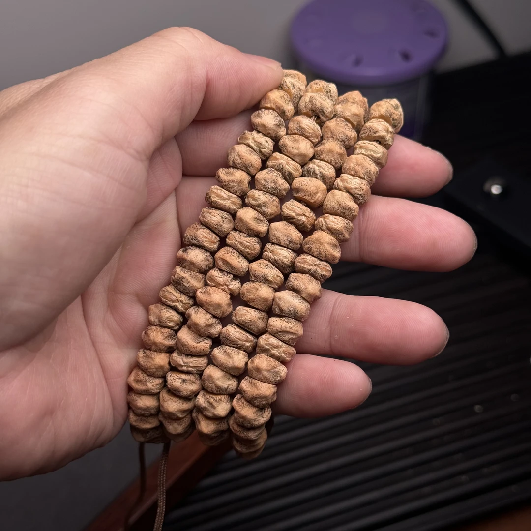 热振柏香籽白牙斜切尺寸9