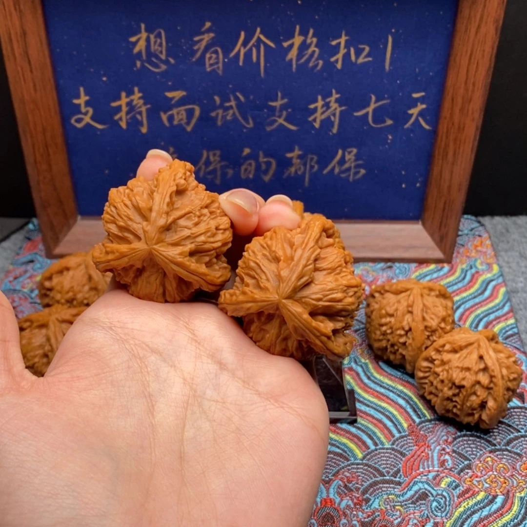 【闪购商品】皴****长白狮