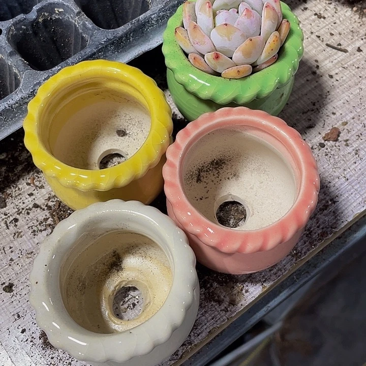 4个陶瓷盆4个颜色一组