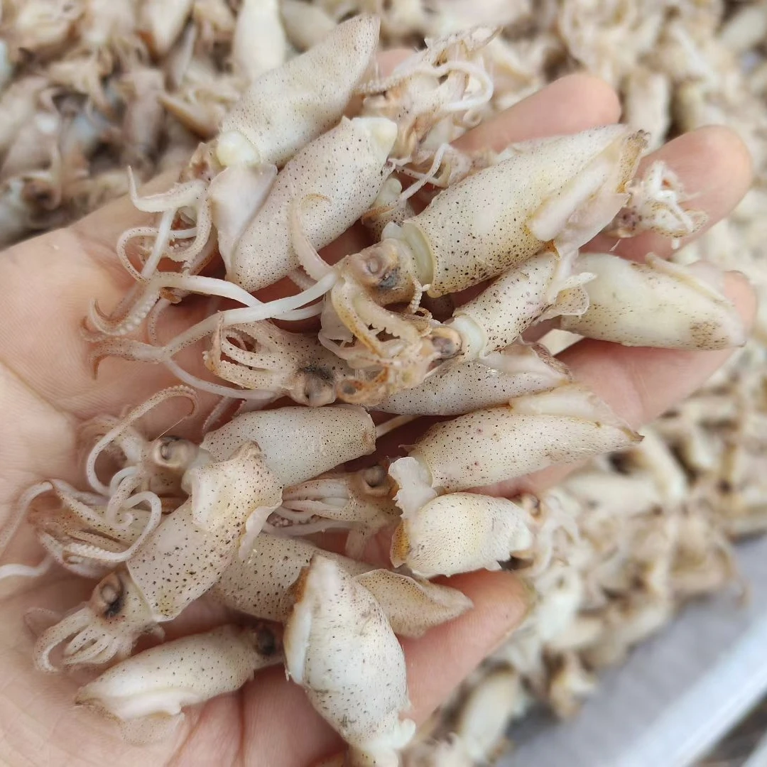 山东渤海湾海兔子3斤